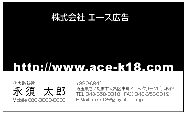 ace-0028m